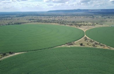 Fazenda para venda em Corinto